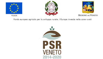 PSR Veneto - progetti europei